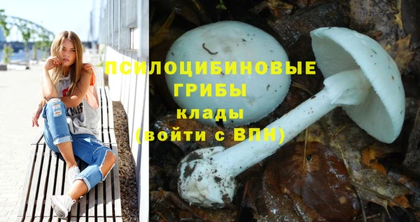 мет Алзамай